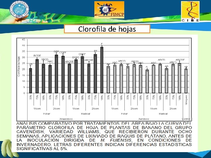 Clorofila de hojas 