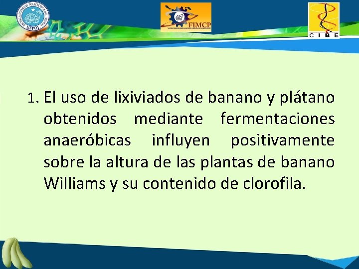 1. El uso de lixiviados de banano y plátano obtenidos mediante fermentaciones anaeróbicas influyen
