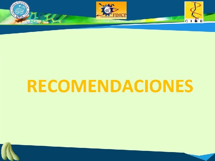 RECOMENDACIONES 