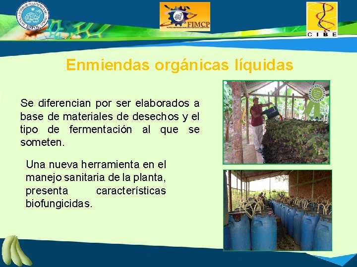 Enmiendas orgánicas líquidas Se diferencian por ser elaborados a base de materiales de desechos