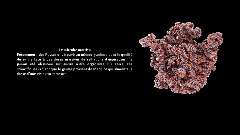 Le microbe martien Récemment, des Russes ont trouvé un microorganisme dont la qualité de