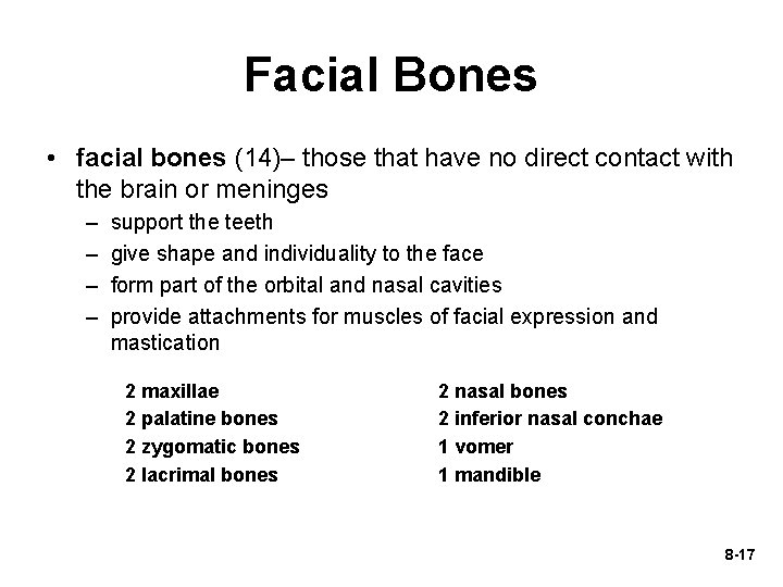 Facial Bones • facial bones (14)– those that have no direct contact with the