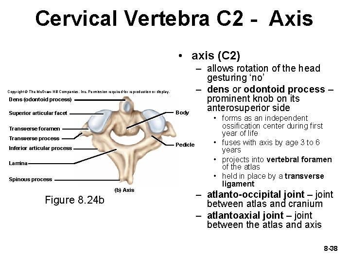 Cervical Vertebra C 2 - Axis • axis (C 2) Copyright © The Mc.