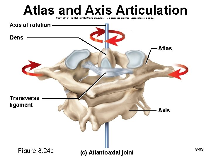 Atlas and Axis Articulation Copyright © The Mc. Graw-Hill Companies, Inc. Permission required for