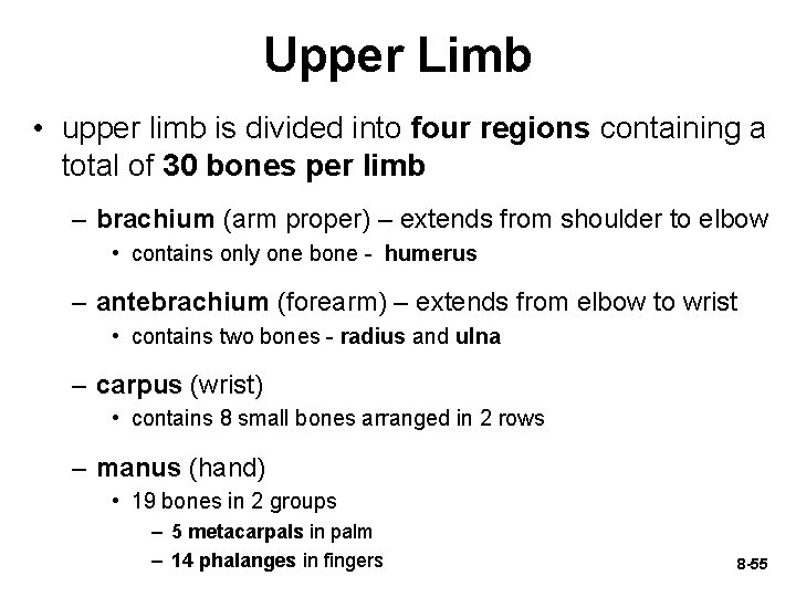 Upper Limb • upper limb is divided into four regions containing a total of