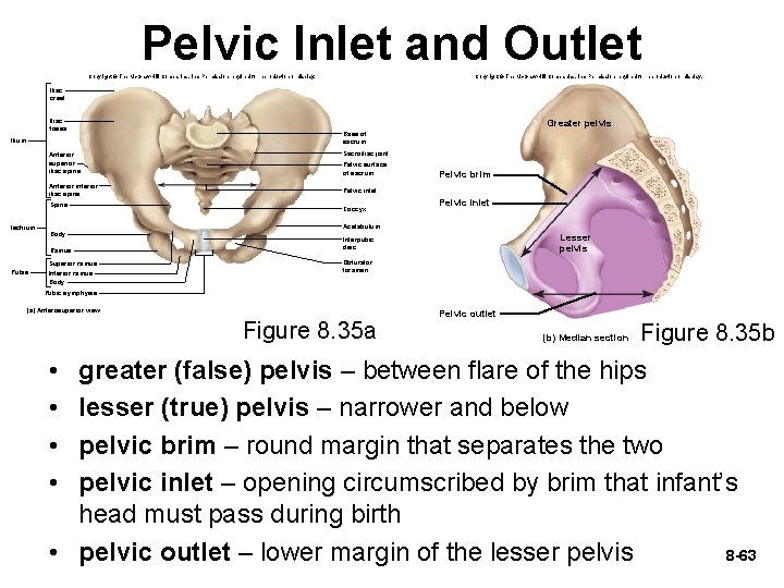 Pelvic Inlet and Outlet Copyright © The Mc. Graw-Hill Companies, Inc. Permission required for