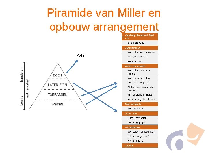 Piramide van Miller en opbouw arrangement Pv. B 