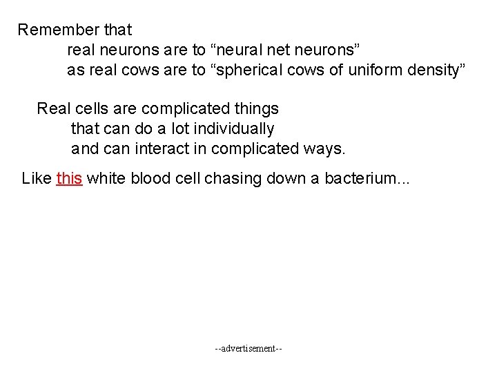 Remember that real neurons are to “neural net neurons” as real cows are to