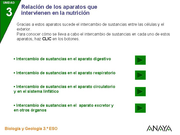UNIDAD 3 Relación de los aparatos que intervienen en la nutrición Gracias a estos