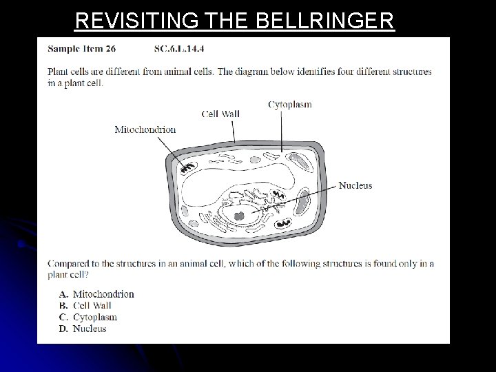 REVISITING THE BELLRINGER 