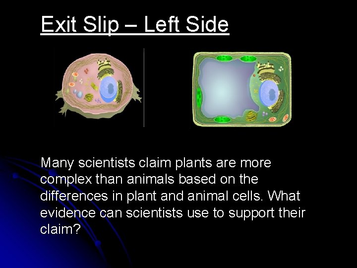 Exit Slip – Left Side Many scientists claim plants are more complex than animals