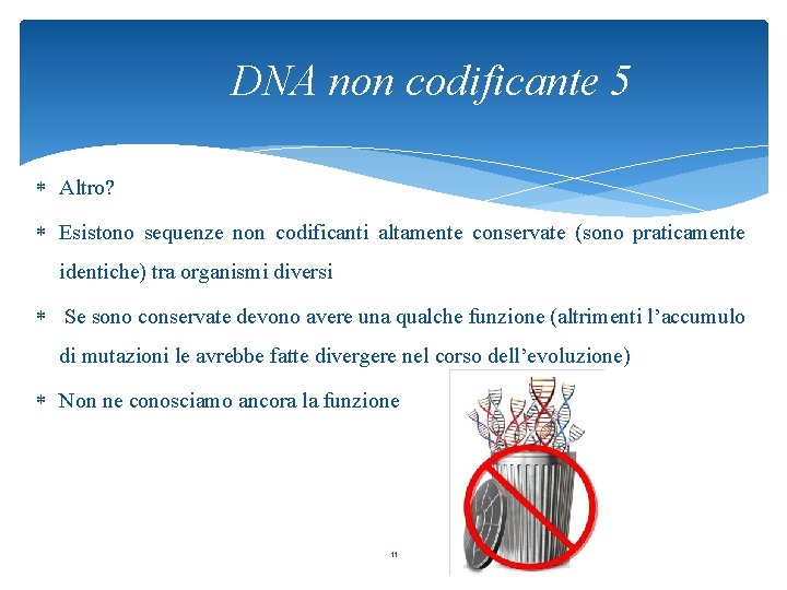DNA non codificante 5 Altro? Esistono sequenze non codificanti altamente conservate (sono praticamente identiche)