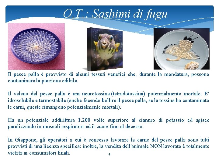 O. T. : Sashimi di fugu Il pesce palla è provvisto di alcuni tessuti