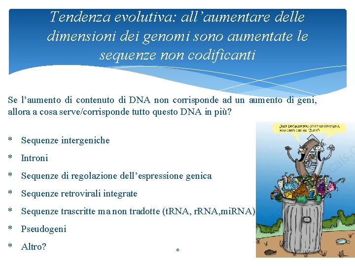 Tendenza evolutiva: all’aumentare delle dimensioni dei genomi sono aumentate le sequenze non codificanti Se