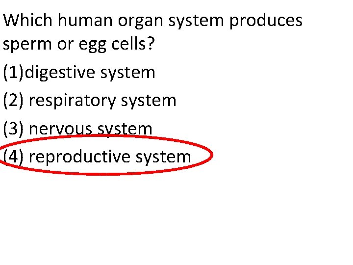 Which human organ system produces sperm or egg cells? (1)digestive system (2) respiratory system
