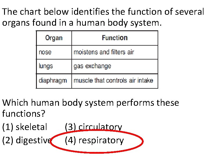 The chart below identifies the function of several organs found in a human body