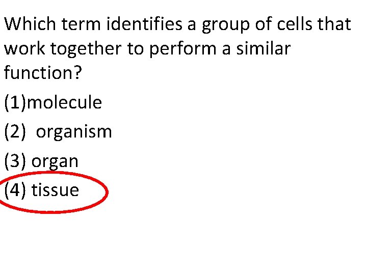 Which term identifies a group of cells that work together to perform a similar