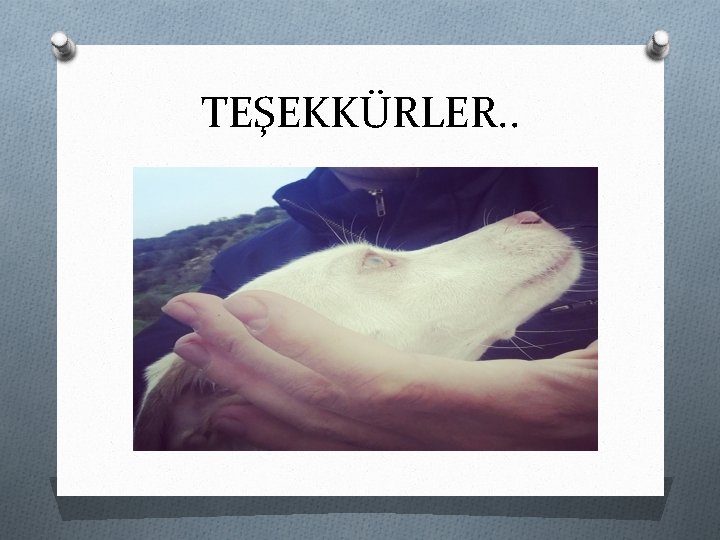 TEŞEKKÜRLER. . 