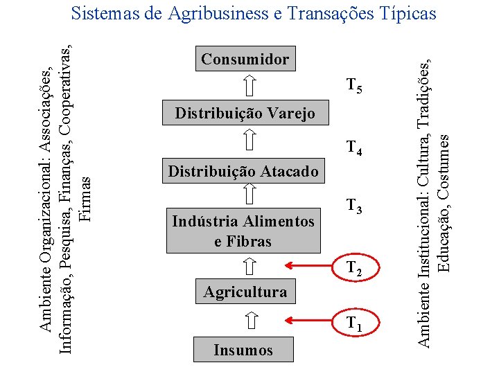 Consumidor T 5 Distribuição Varejo T 4 Distribuição Atacado Indústria Alimentos e Fibras T