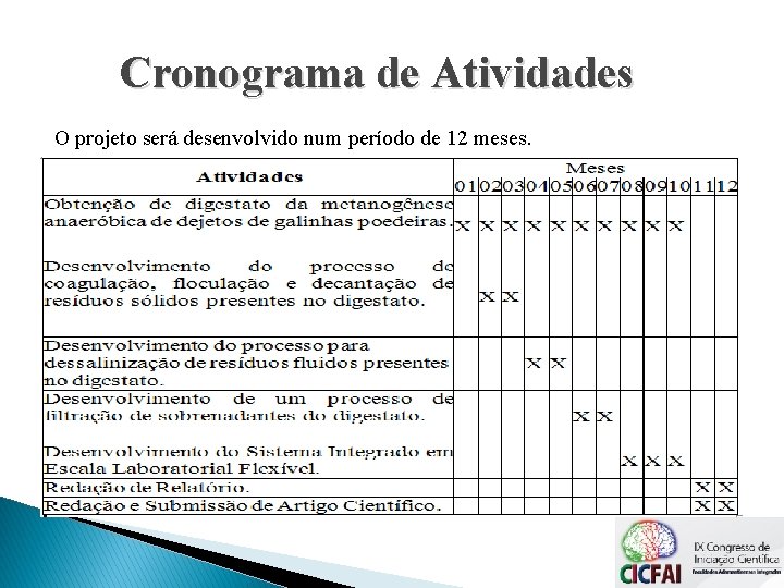 Cronograma de Atividades O projeto será desenvolvido num período de 12 meses. Cronograma de Atividades O projeto será desenvolvido num período de 12 meses.