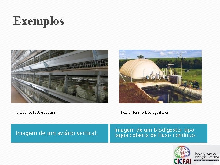 Exemplos Fonte: ATI Avicultura Imagem de um aviário vertical. Fonte: Rastro Biodigestores Imagem de Exemplos Fonte: ATI Avicultura Imagem de um aviário vertical. Fonte: Rastro Biodigestores Imagem de