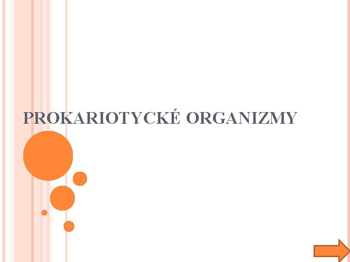 PROKARIOTYCKÉ ORGANIZMY 