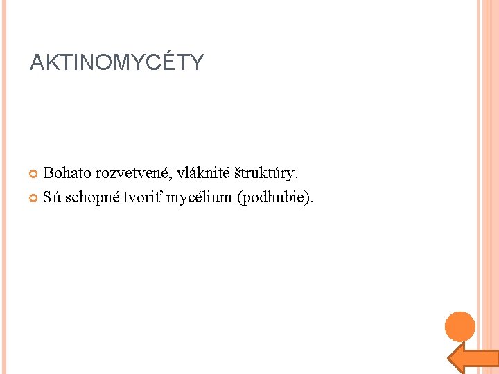 AKTINOMYCÉTY Bohato rozvetvené, vláknité štruktúry. Sú schopné tvoriť mycélium (podhubie). 