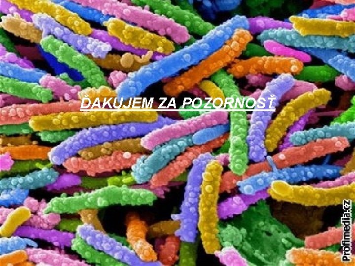 ĎAKUJEM ZA POZORNOSŤ 