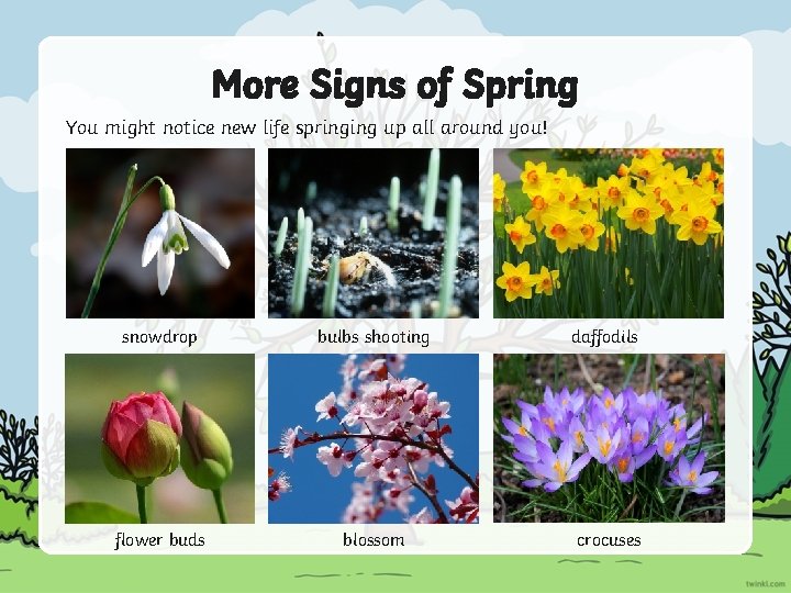 More Signs of Spring You might notice new life springing up all around you!
