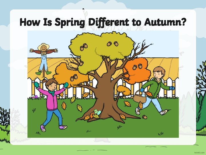 How Is Spring Different to Autumn? 