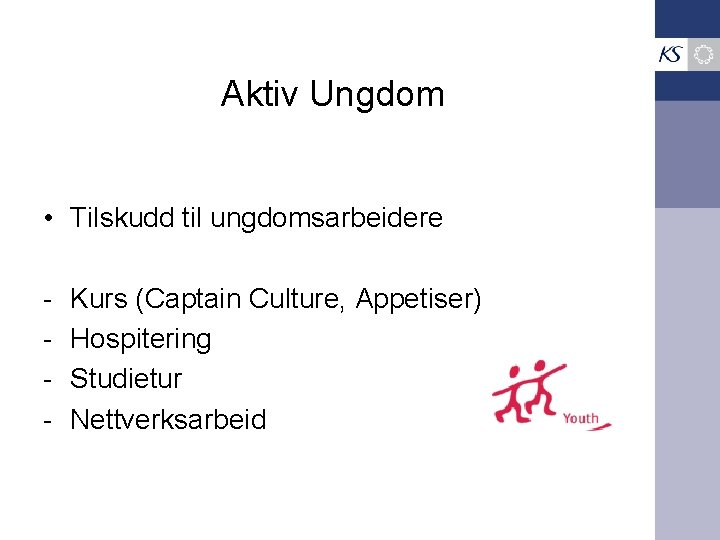 Aktiv Ungdom • Tilskudd til ungdomsarbeidere - Kurs (Captain Culture, Appetiser) Hospitering Studietur Nettverksarbeid