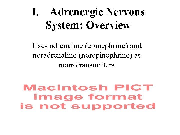 I. Adrenergic Nervous System: Overview Uses adrenaline (epinephrine) and noradrenaline (norepinephrine) as neurotransmitters 