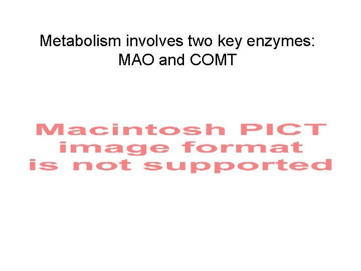 Metabolism involves two key enzymes: MAO and COMT 