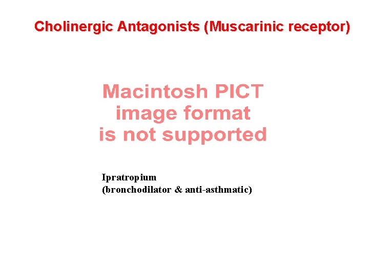 Cholinergic Antagonists (Muscarinic receptor) Ipratropium (bronchodilator & anti-asthmatic) 