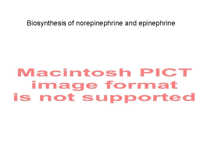 Biosynthesis of norepinephrine and epinephrine 