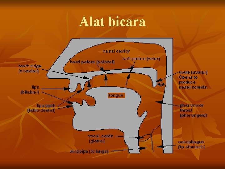 Alat bicara 