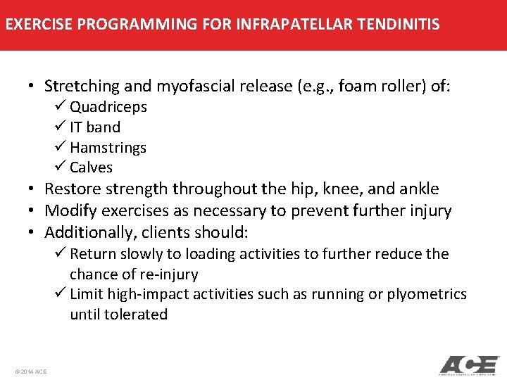 EXERCISE PROGRAMMING FOR INFRAPATELLAR TENDINITIS • Stretching and myofascial release (e. g. , foam