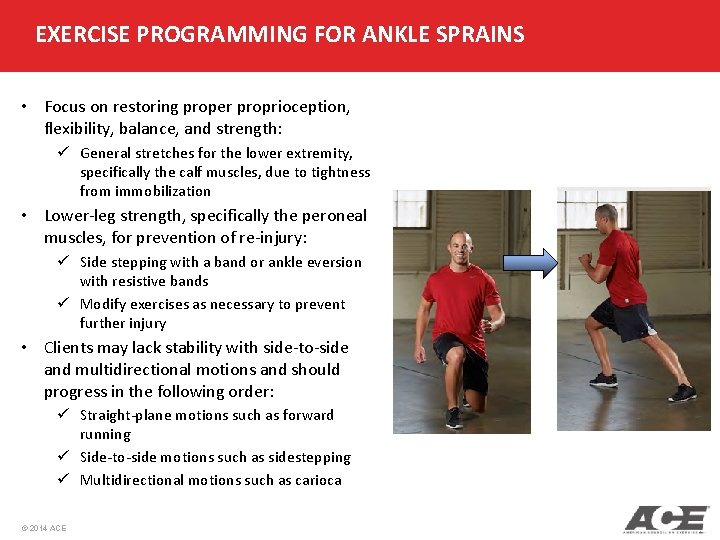 EXERCISE PROGRAMMING FOR ANKLE SPRAINS • Focus on restoring proper proprioception, flexibility, balance, and