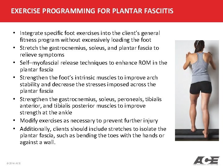 EXERCISE PROGRAMMING FOR PLANTAR FASCIITIS • Integrate specific foot exercises into the client’s general