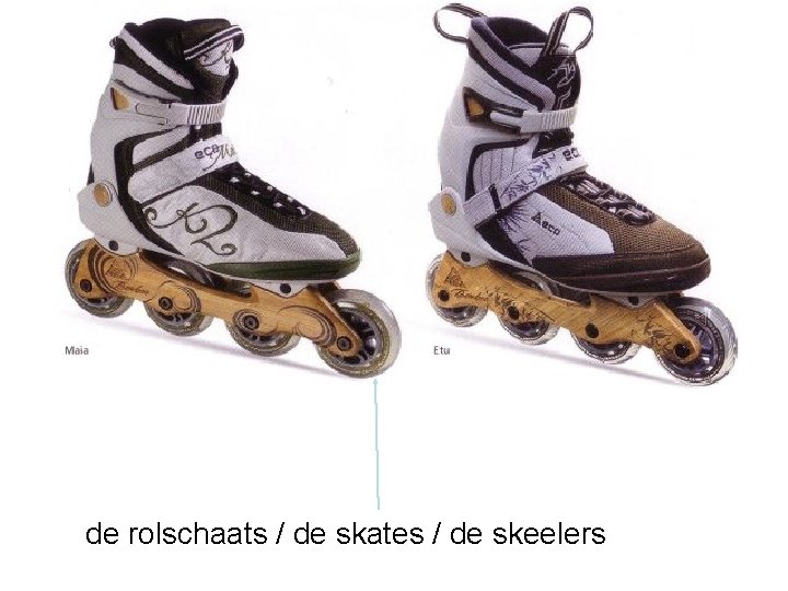 de rolschaats / de skates / de skeelers 