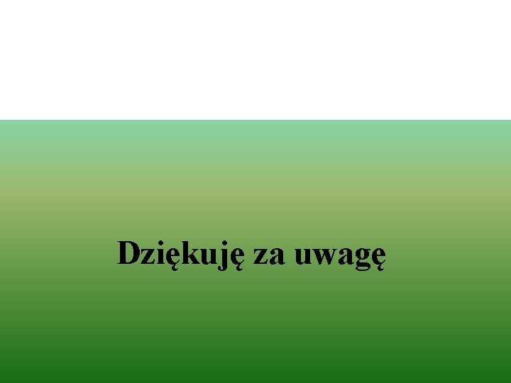 Dziękuję za uwagę 