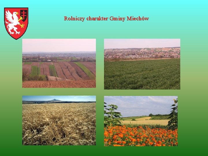Rolniczy charakter Gminy Miechów 