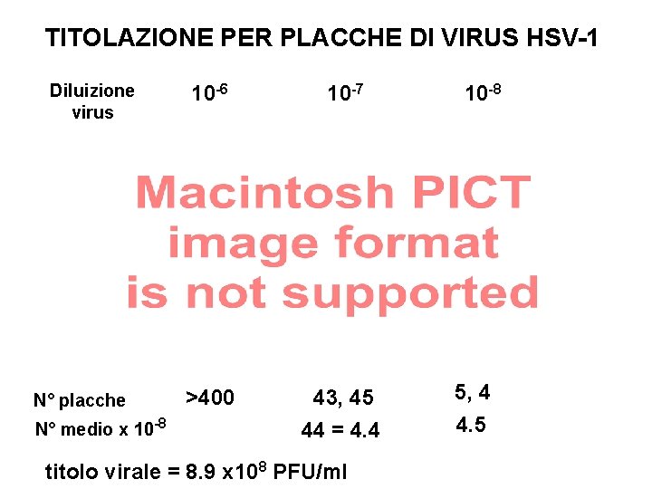 TITOLAZIONE PER PLACCHE DI VIRUS HSV-1 Diluizione virus N° placche N° medio x 10