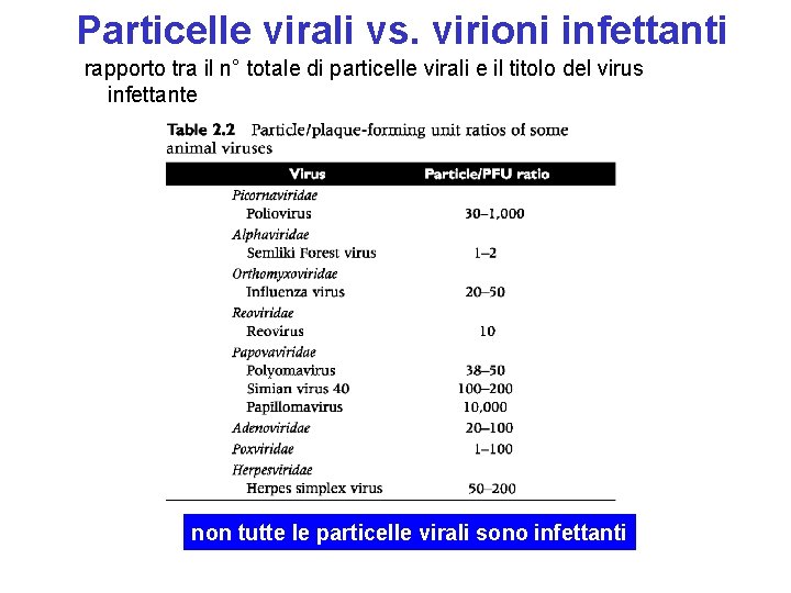 Particelle virali vs. virioni infettanti rapporto tra il n° totale di particelle virali e