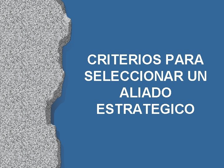 CRITERIOS PARA SELECCIONAR UN ALIADO ESTRATEGICO 