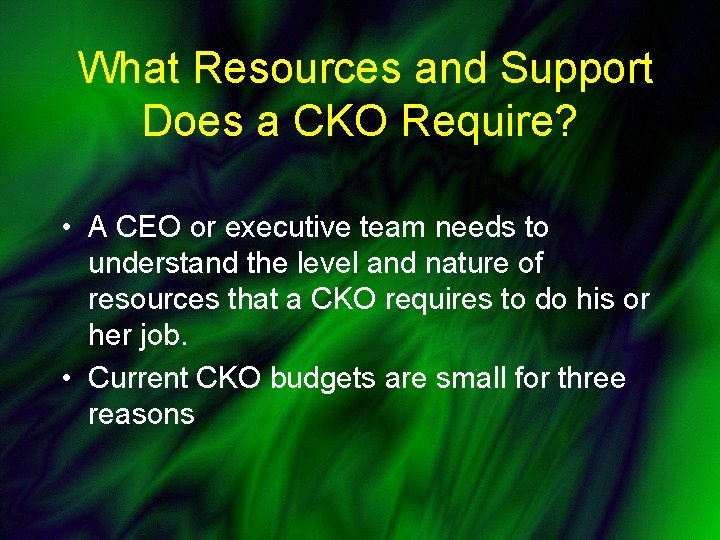 What Resources and Support Does a CKO Require? • A CEO or executive team