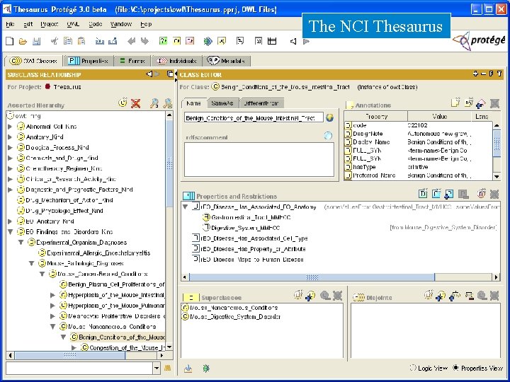 The NCI Thesaurus 