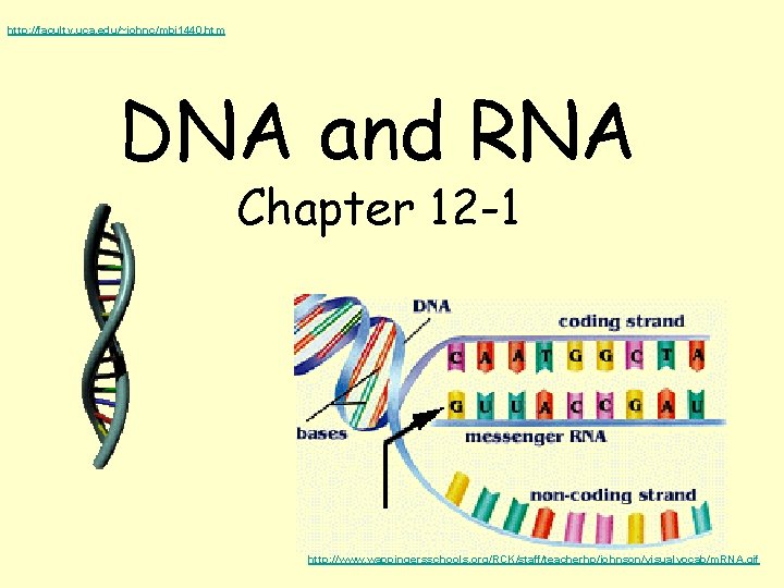 http: //faculty. uca. edu/~johnc/mbi 1440. htm DNA and RNA Chapter 12 -1 http: //www.