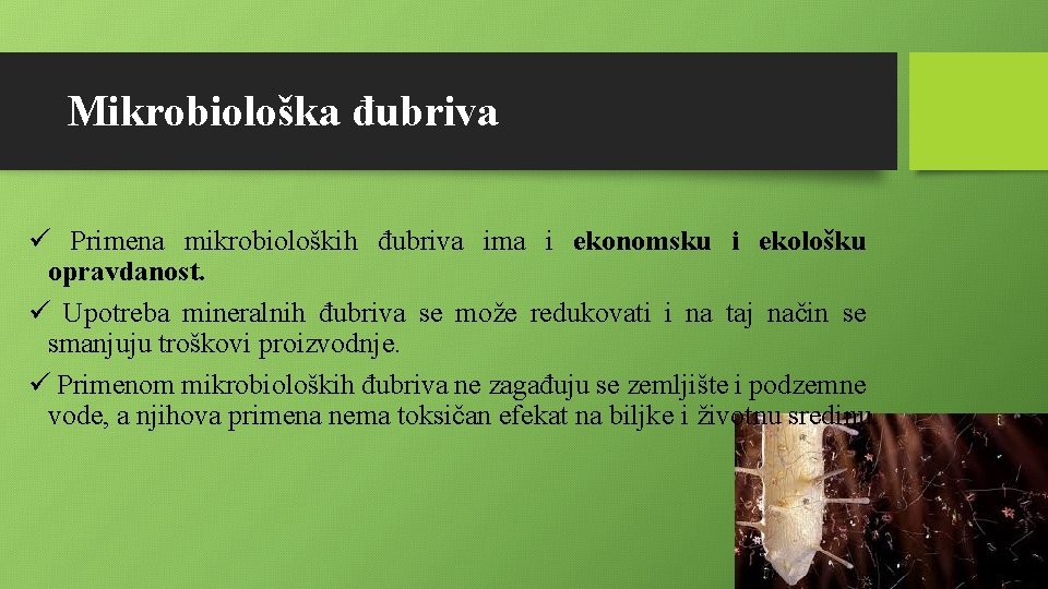 Mikrobiološka đubriva ü Primena mikrobioloških đubriva ima i ekonomsku i ekološku opravdanost. ü Upotreba