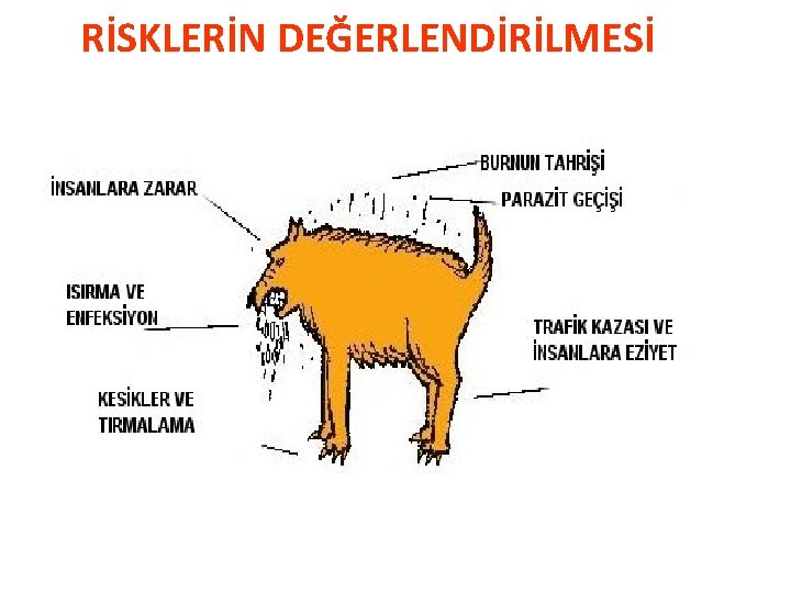 RİSKLERİN DEĞERLENDİRİLMESİ 